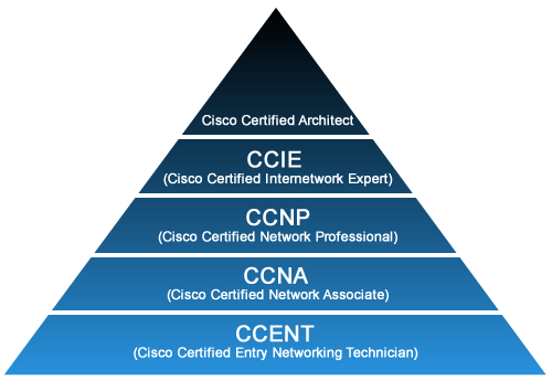 network engineering career path